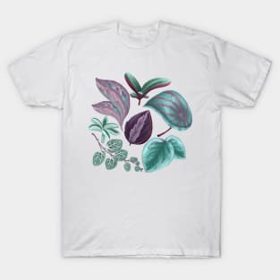 Peperomia Leaves T-Shirt
